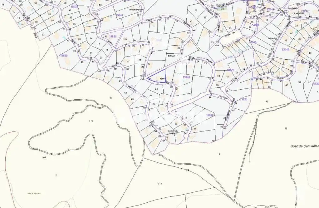 Terreny rústic en venda a Cova del Drac, imagen 2