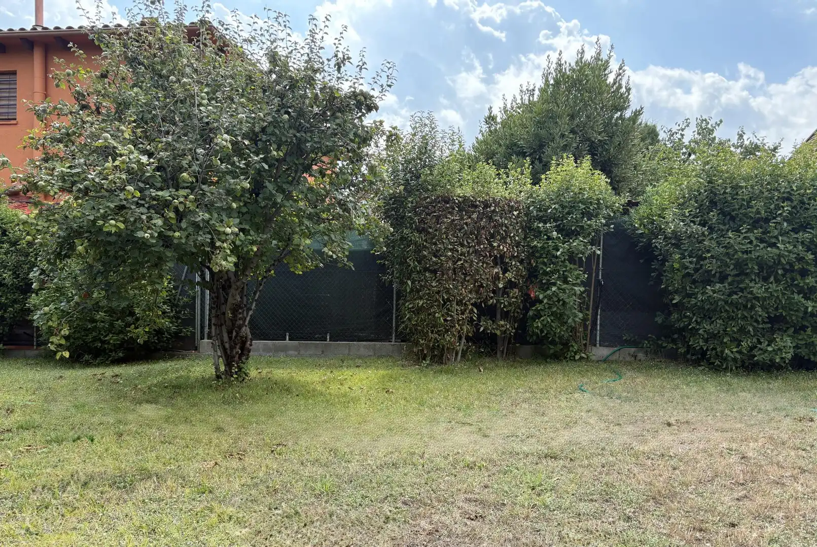 Terreno residenziale in vendita a Rei en Jaume 437, imagen 5
