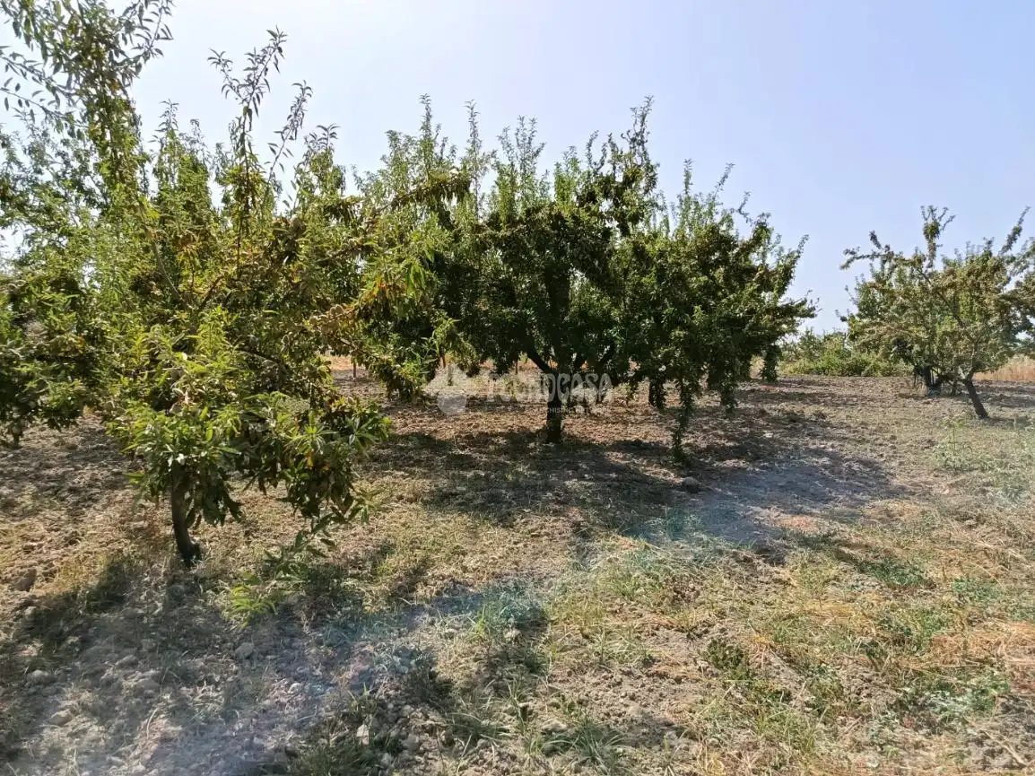 Wohnbaugrundstück zum Verkauf in Gójar, imagen 17