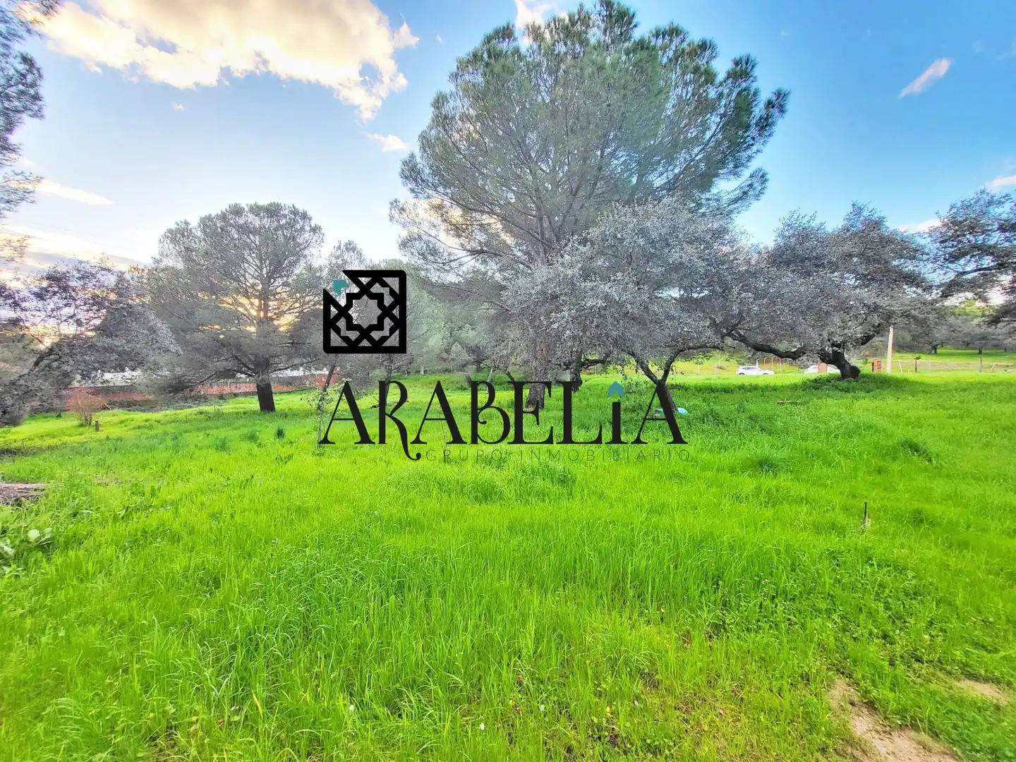 Houses for sale in Córdoba  with Private garden and Terrace