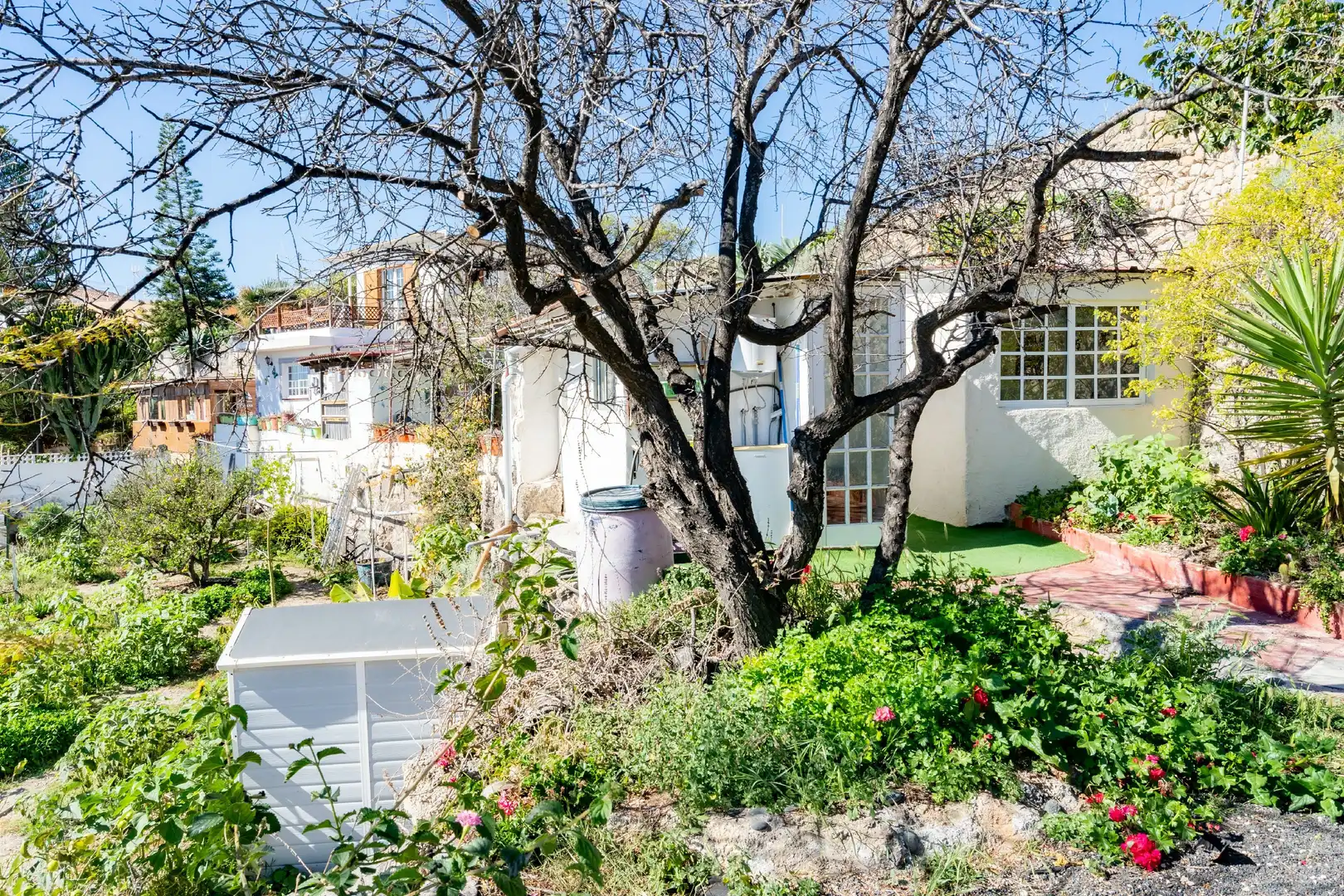 Vista exterior de Finca rústica en venda en Güímar amb Jardí privat, Terrassa i Moblat