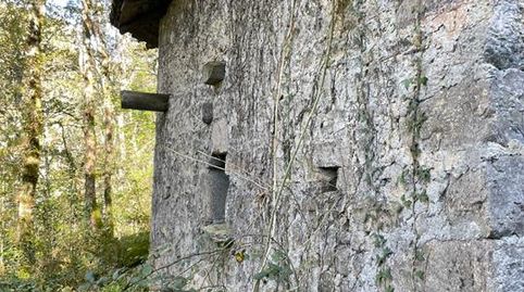 Foto 5 de Finca rústica en venta en Lugar Cividiello, 40a, Parres, Asturias