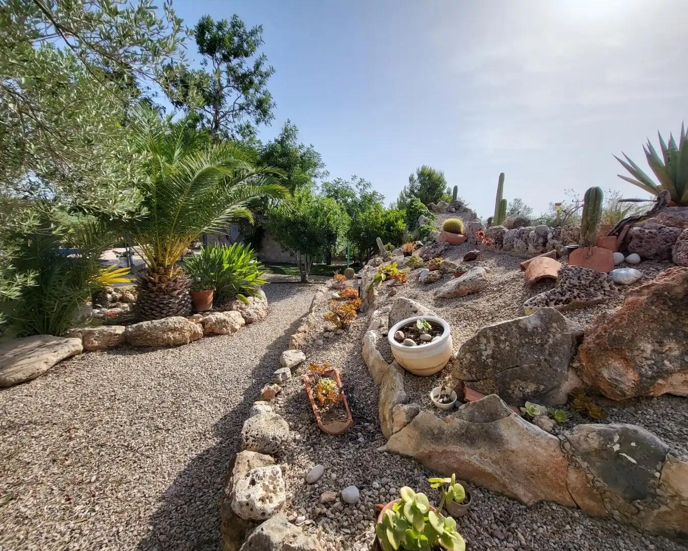 Jardí de Finca rústica en venda en L'Ametlla de Mar  amb Jardí privat, Terrassa i Traster
