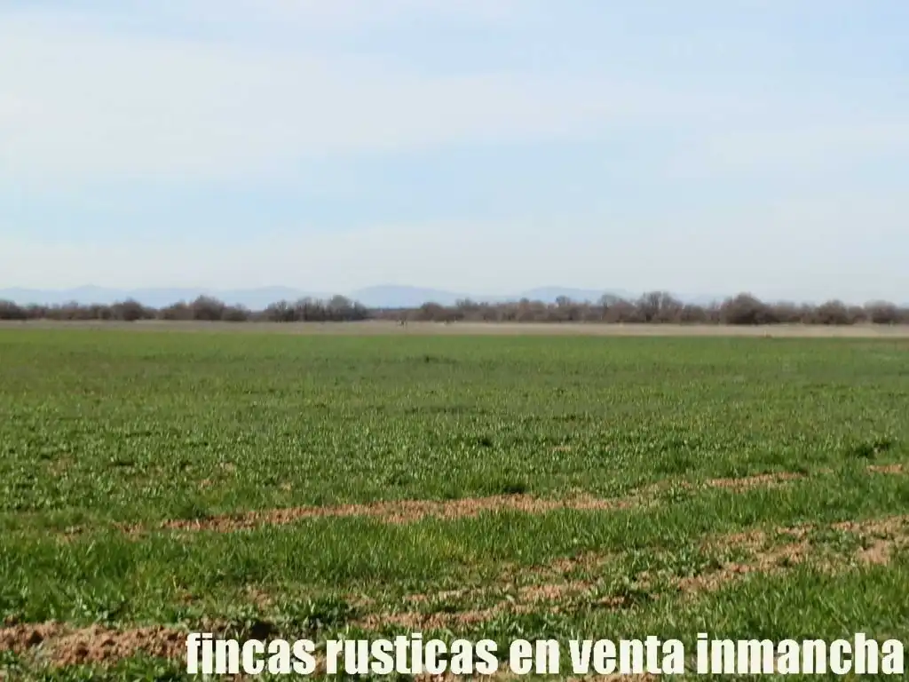 Rural land for sale in Madridejos, imagen 16