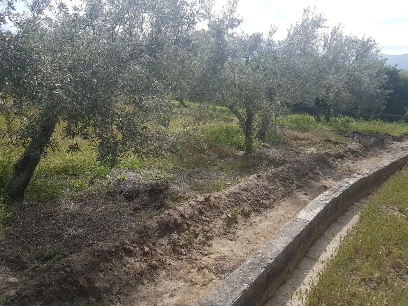 Finca rústica en venda en Villa de Otura