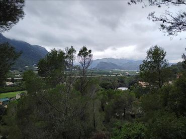 Terrenos y solares en venta en SANTA MARTA 40