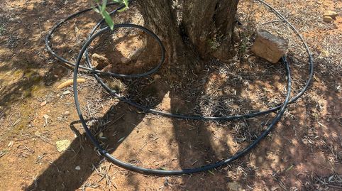 Finca de olivar en Jaén con riego, naves y cosecha, imatge 5