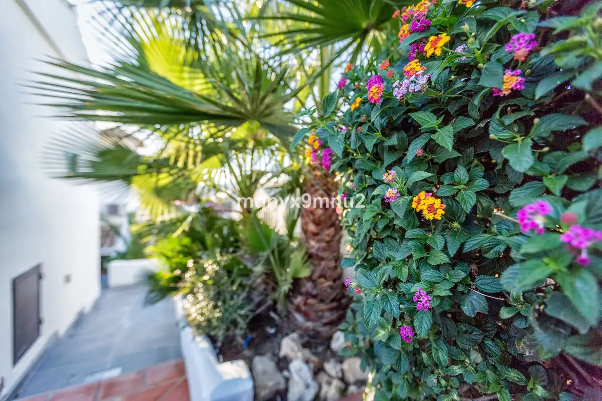 Jardín de Casa o chalet en venta en Mijas con Aire acondicionado, Calefacción y Jardín privado