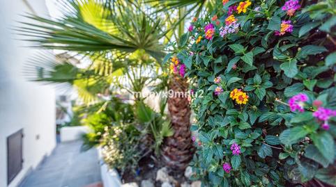 Foto 4 de Casa o chalet en venta en El Faro de Calaburra - Chaparral, Mijas