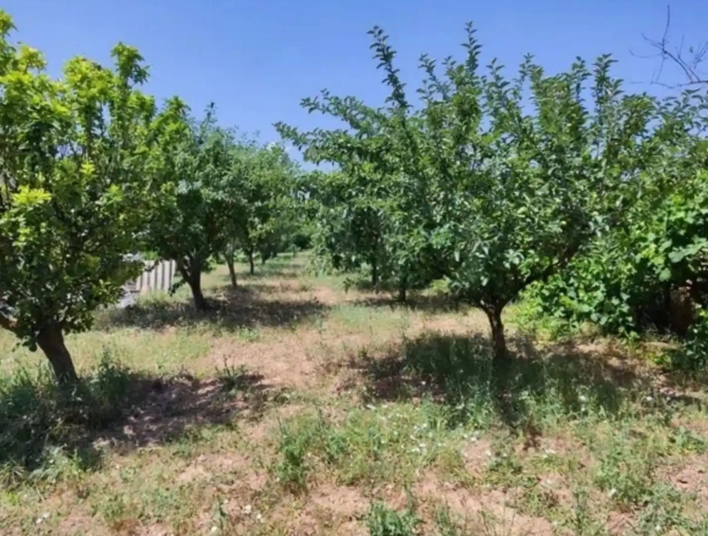 Finca rústica en venda en Quintanaélez amb Calefacció i Terrassa