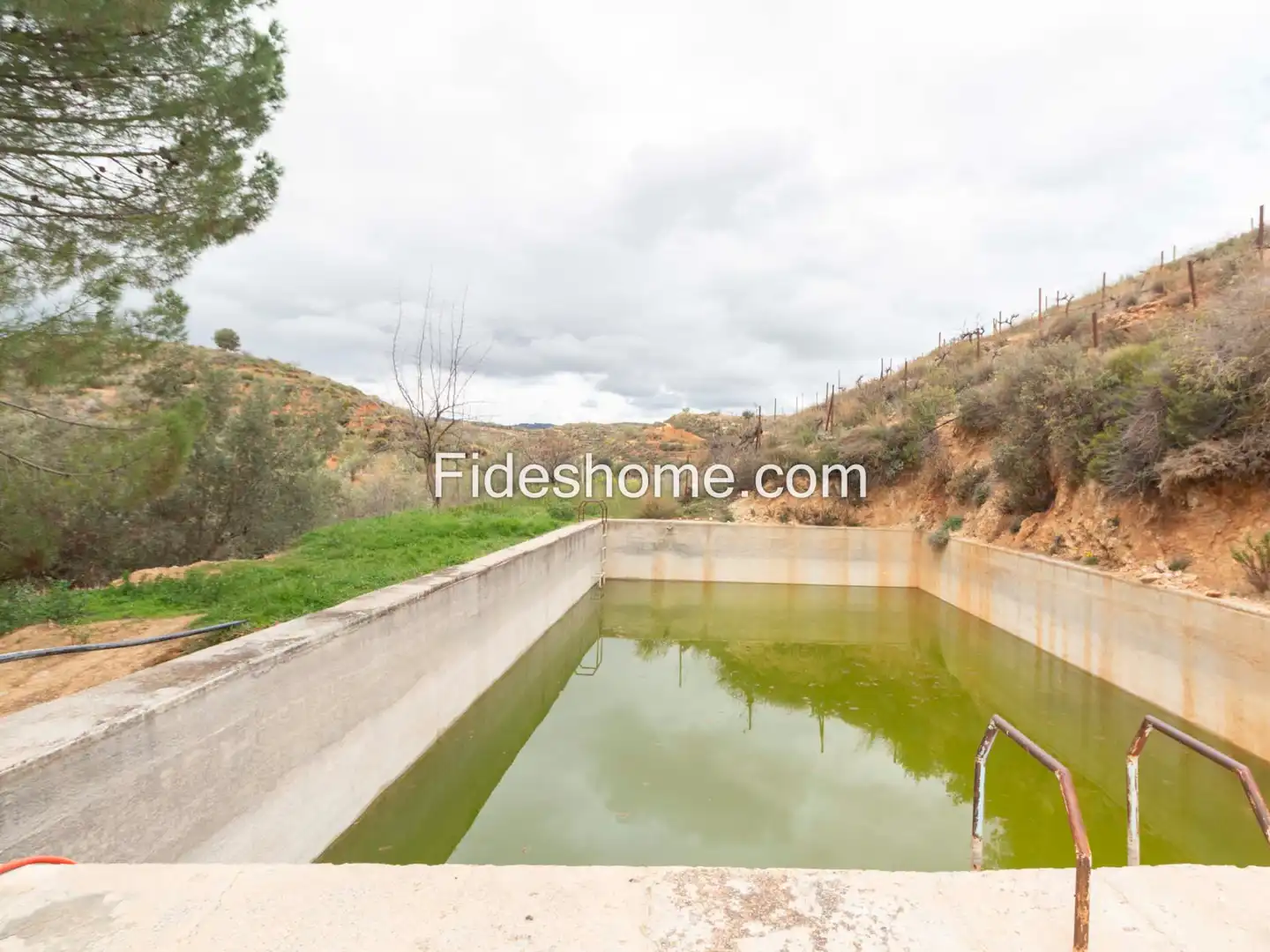 Vista exterior de Finca rústica en venda en Villamena amb Jardí privat, Piscina i Moblat
