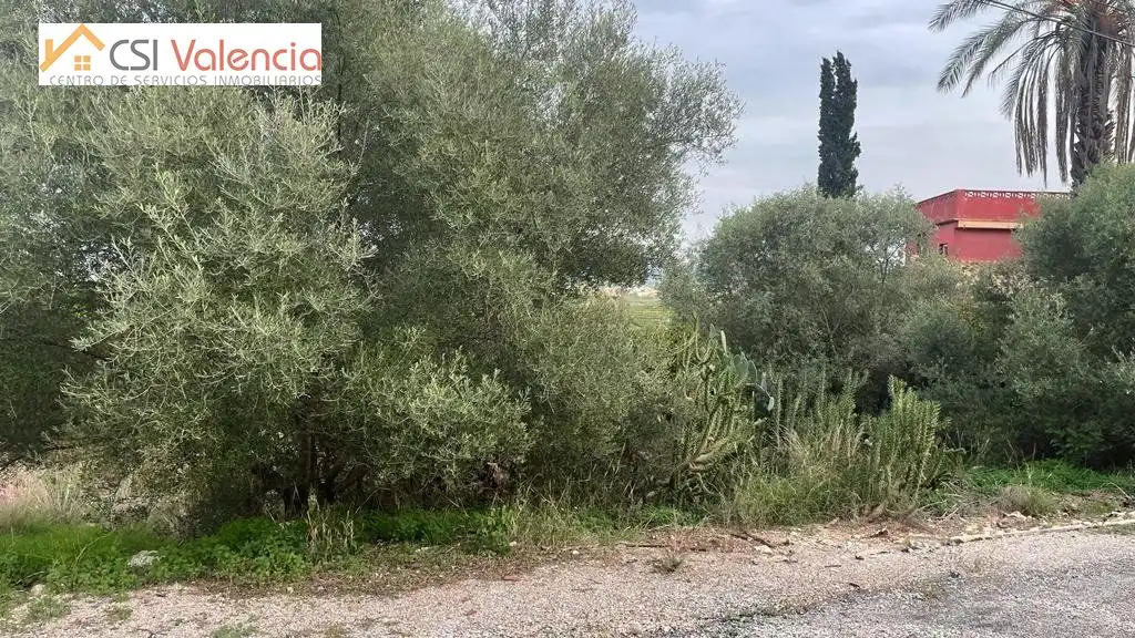 Terreno residencial en venta en Alberic, imagen 3