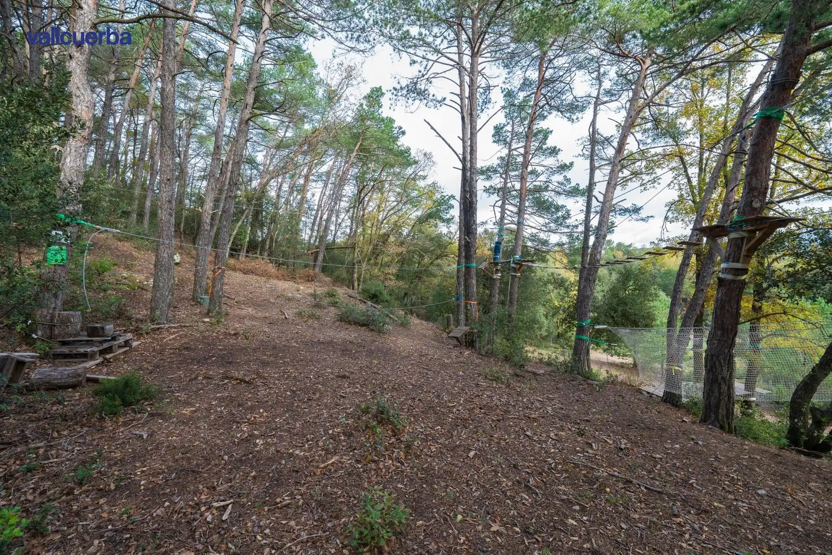 Terreno rústico en venta en Prades, imagen 20