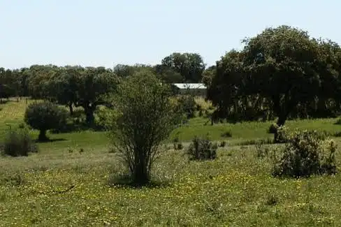 Rural land for sale in Chinchibarra - Capuchinos, imagen 3