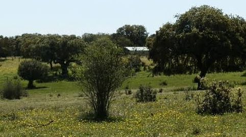 Foto 3 de Terreno en venta en Labradores, Salamanca Capital