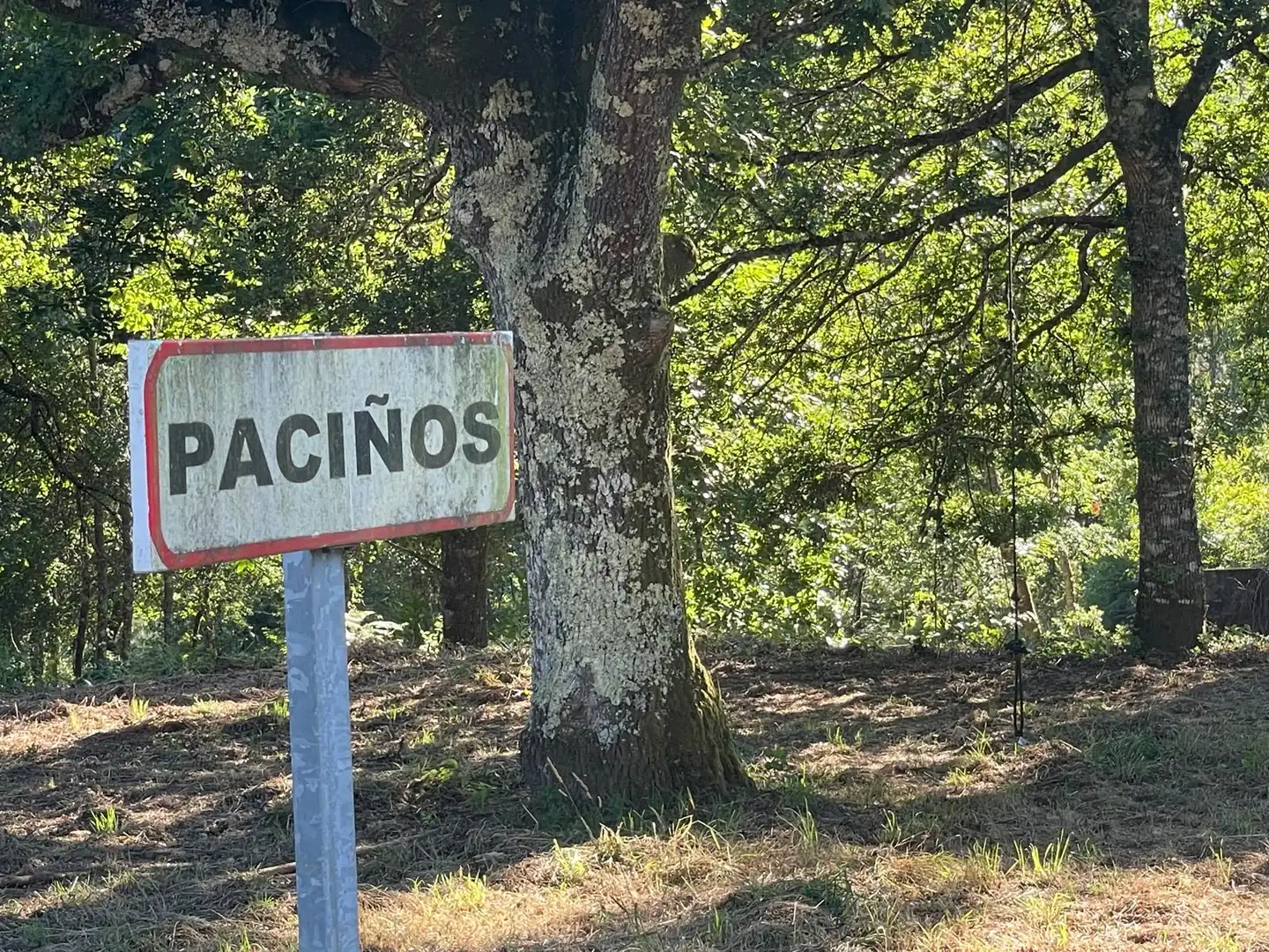 Residential land for sale in Lugar Paciños 15