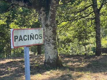Terreny residencial en venda a Lugar Paciños 15