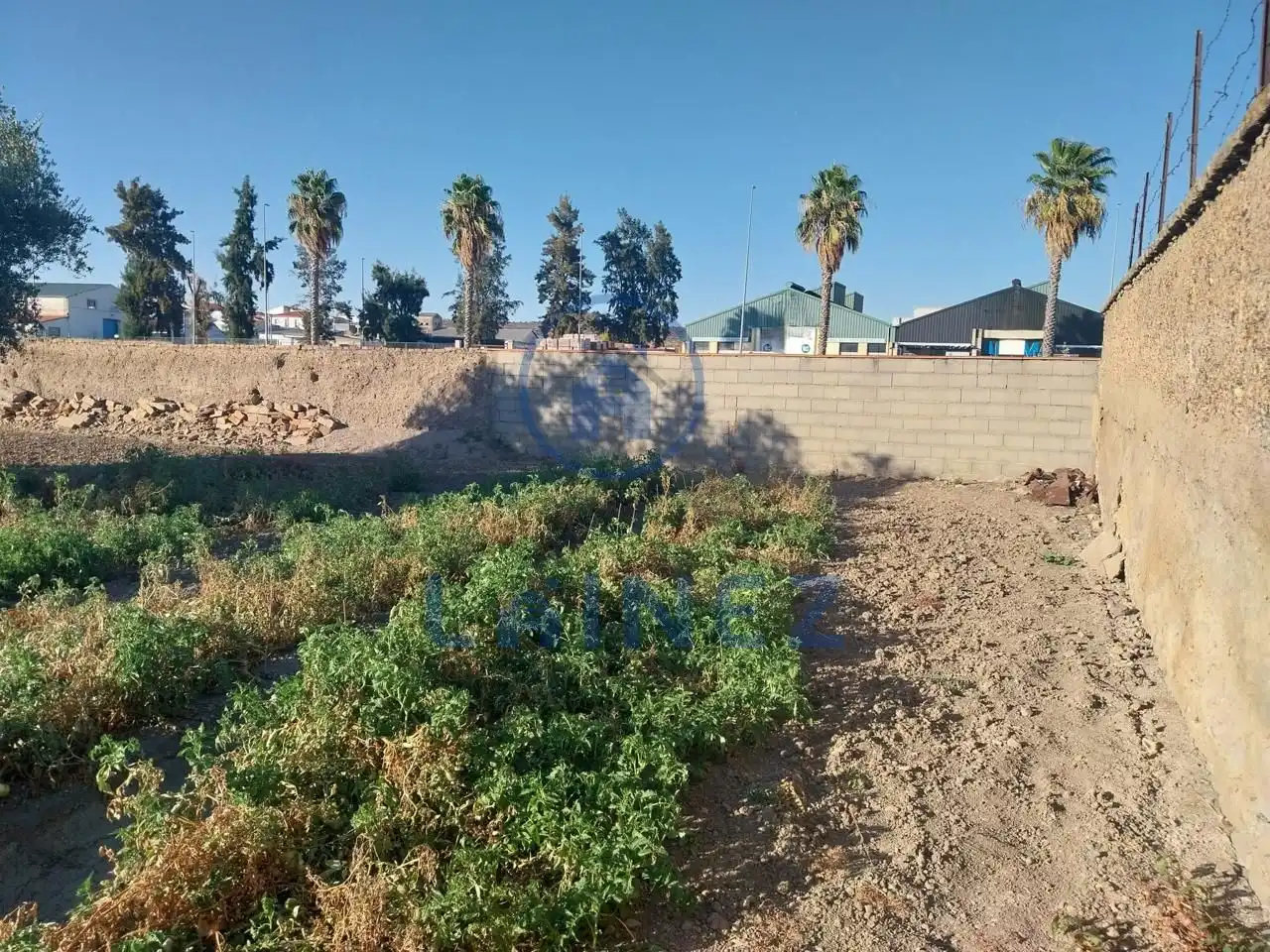 Lands and plots for sale in Belmez, imagen 11