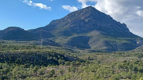 ¡Buena oportunidad! Terreno rustico, imatge 4