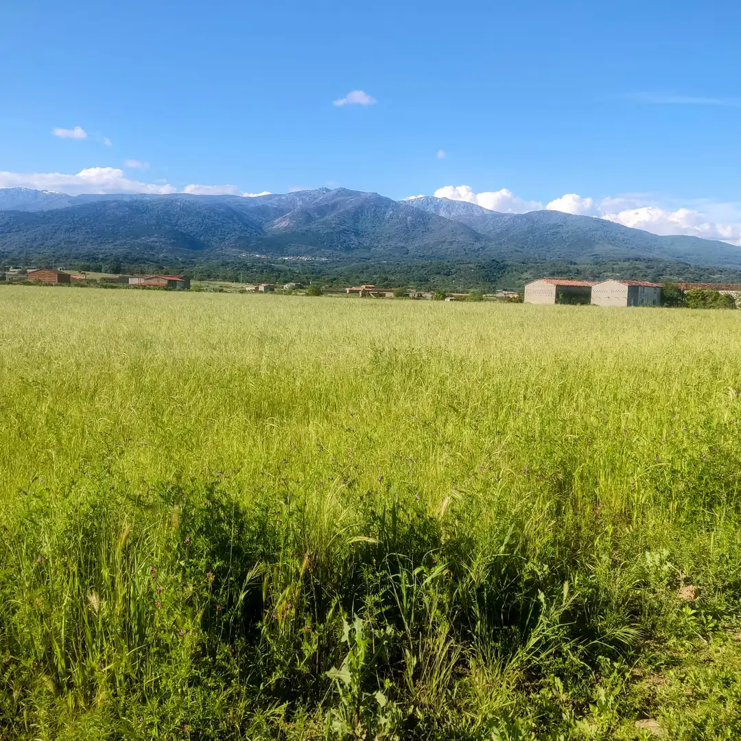 Terreni e lotti in vendita a Losar de la Vera, imagen 5
