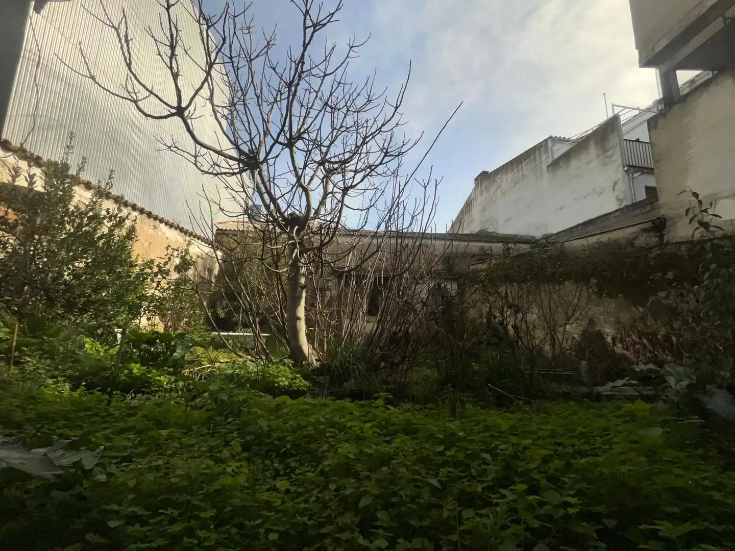 House with terrace for sale in Calle de las Cruces 25, imagen 19