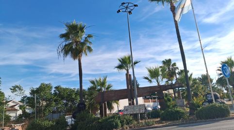 Photo 4 of Detached homes for sale in Villanueva del Ariscal, Sevilla