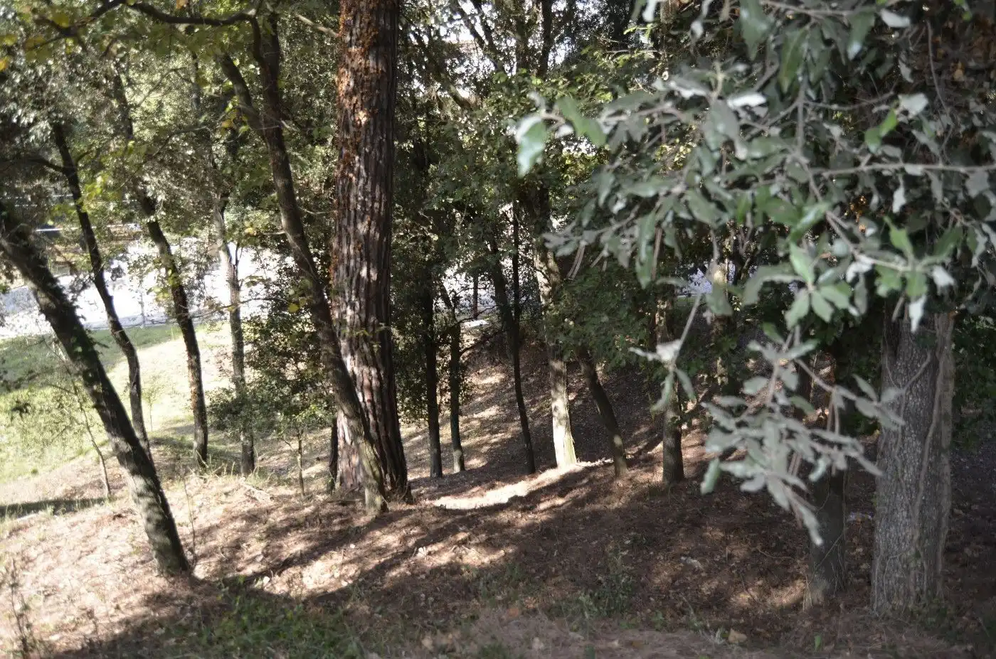 Residential land for sale in Sant Pere de Vilamajor, imagen 6