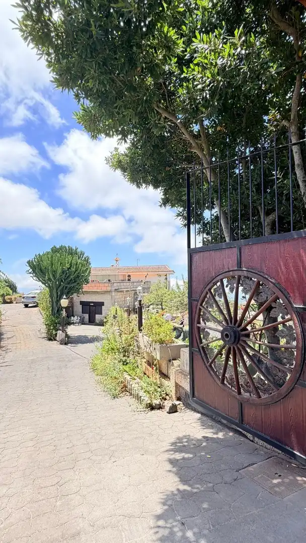 Vista exterior de Finca rústica en venta en Arona pueblo