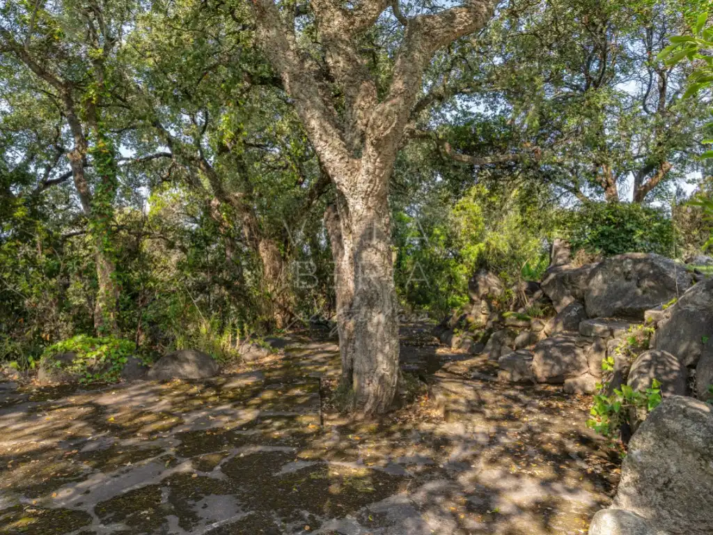 Maison avec piscine à vendre à Avenida De Les Gavarres 76, imagen 11