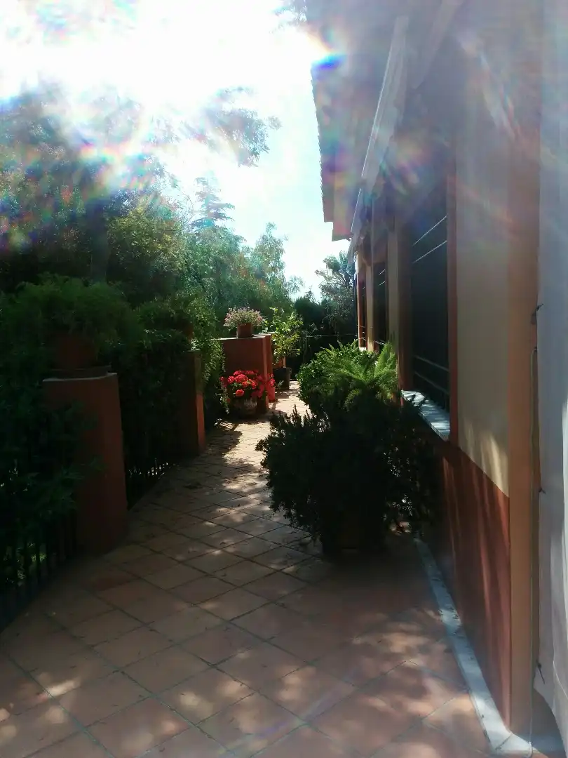 Jardí de Casa o xalet en venda en Alcalá de Guadaira amb Aire condicionat, Calefacció i Jardí privat
