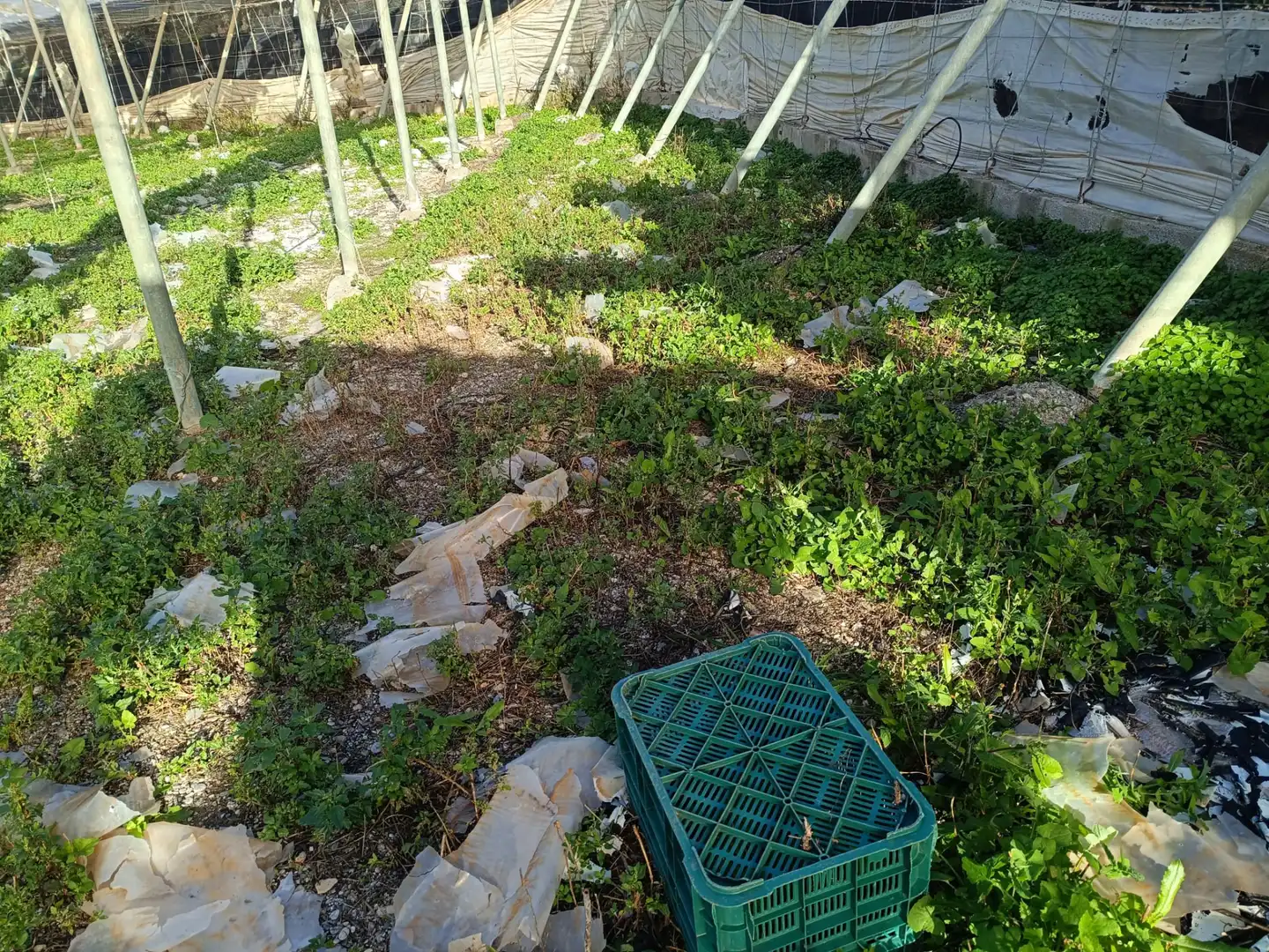 Rural land for sale in Motril  ciudad, imagen 3