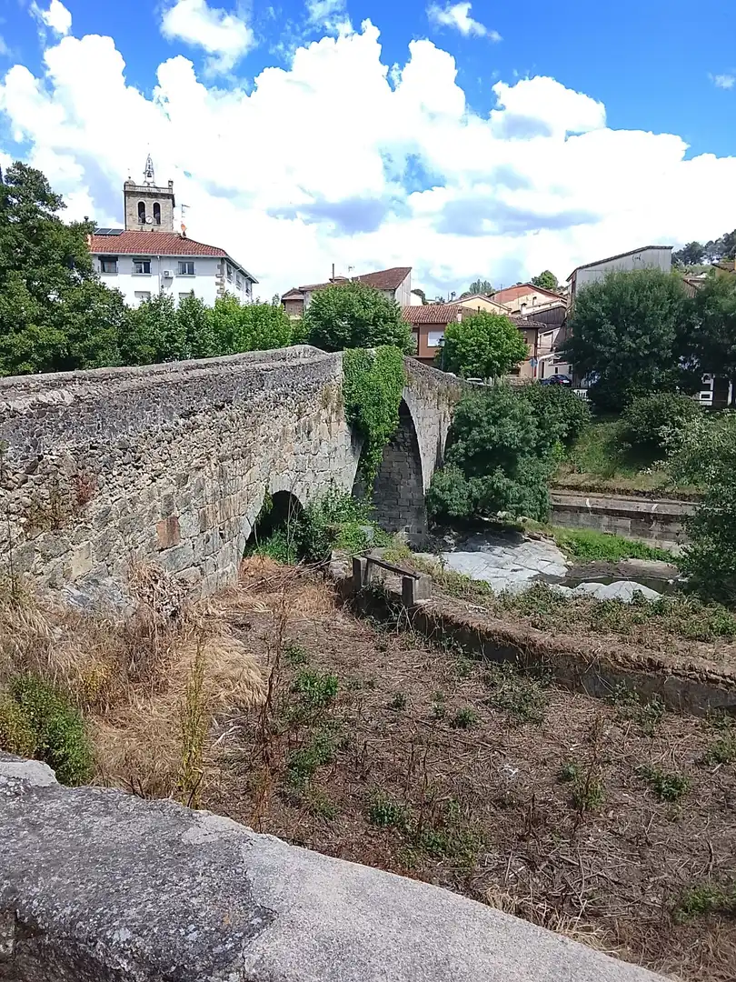 Maison à vendre à Arenas de San Pedro, imagen 33