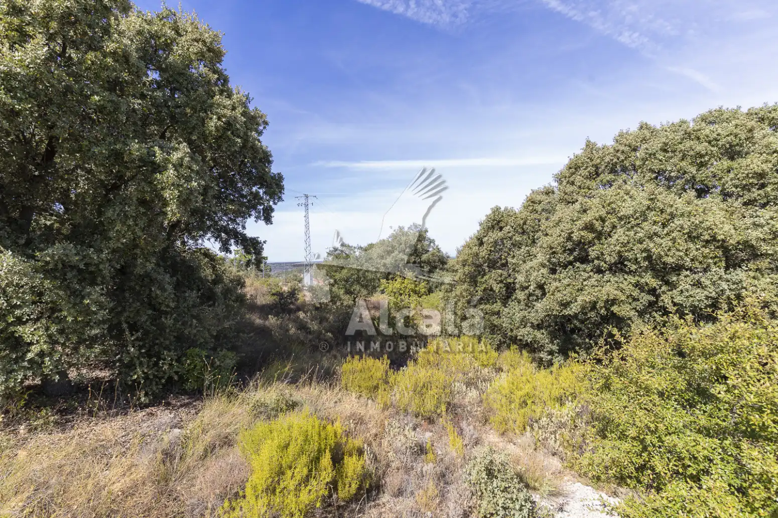 Terrenos y solares en venta en Hontoba, imagen 26