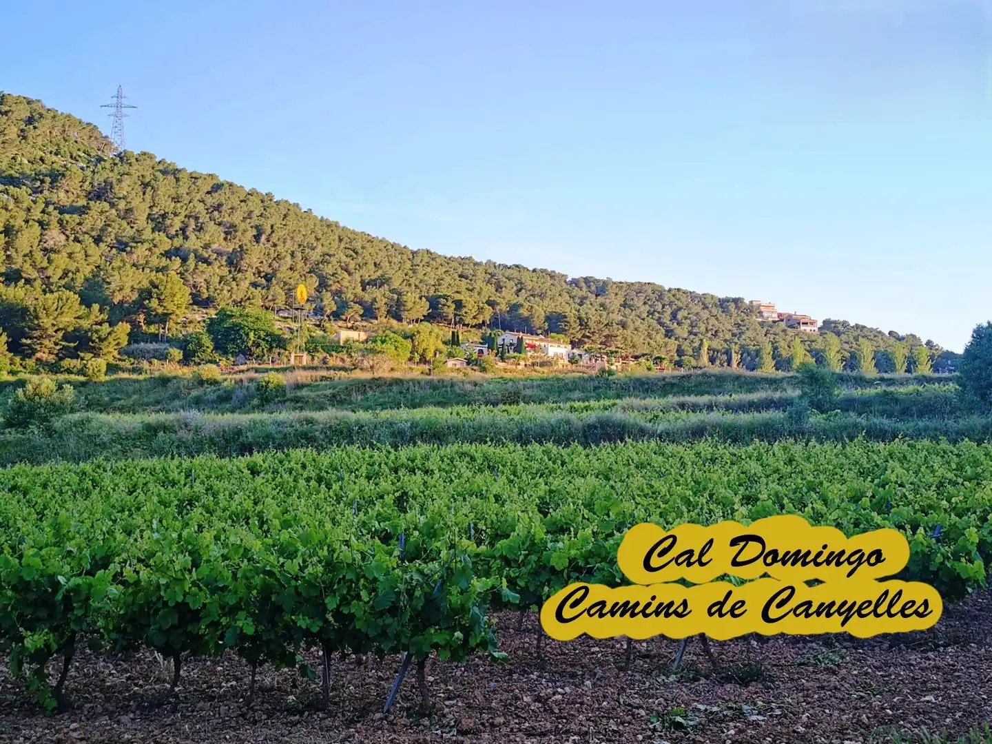 Terreno residencial en venta en Carrer CAMI DE LA VALL 3, imagen 10