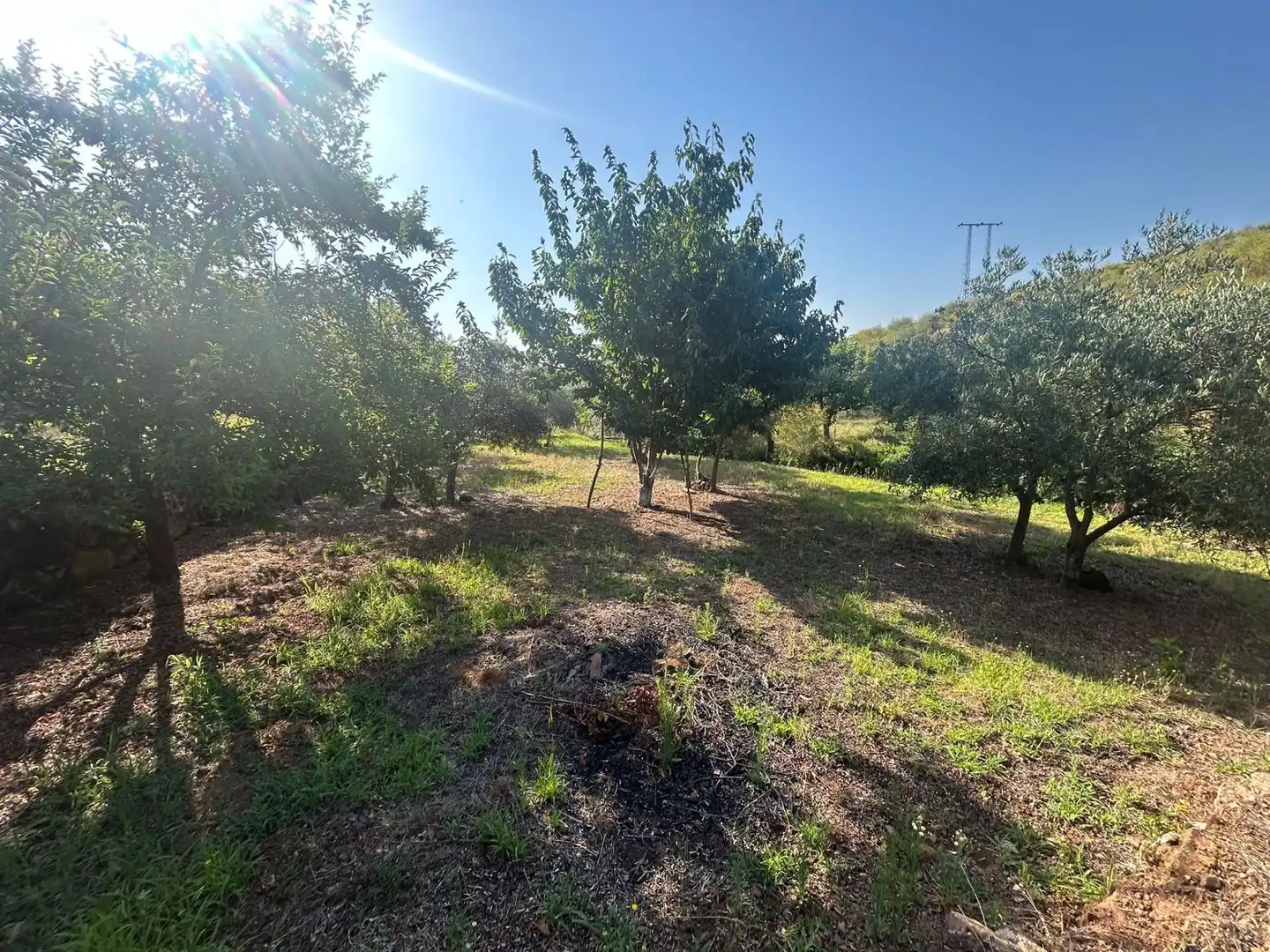 Rural land for sale in Torre de Don Miguel, imagen 7