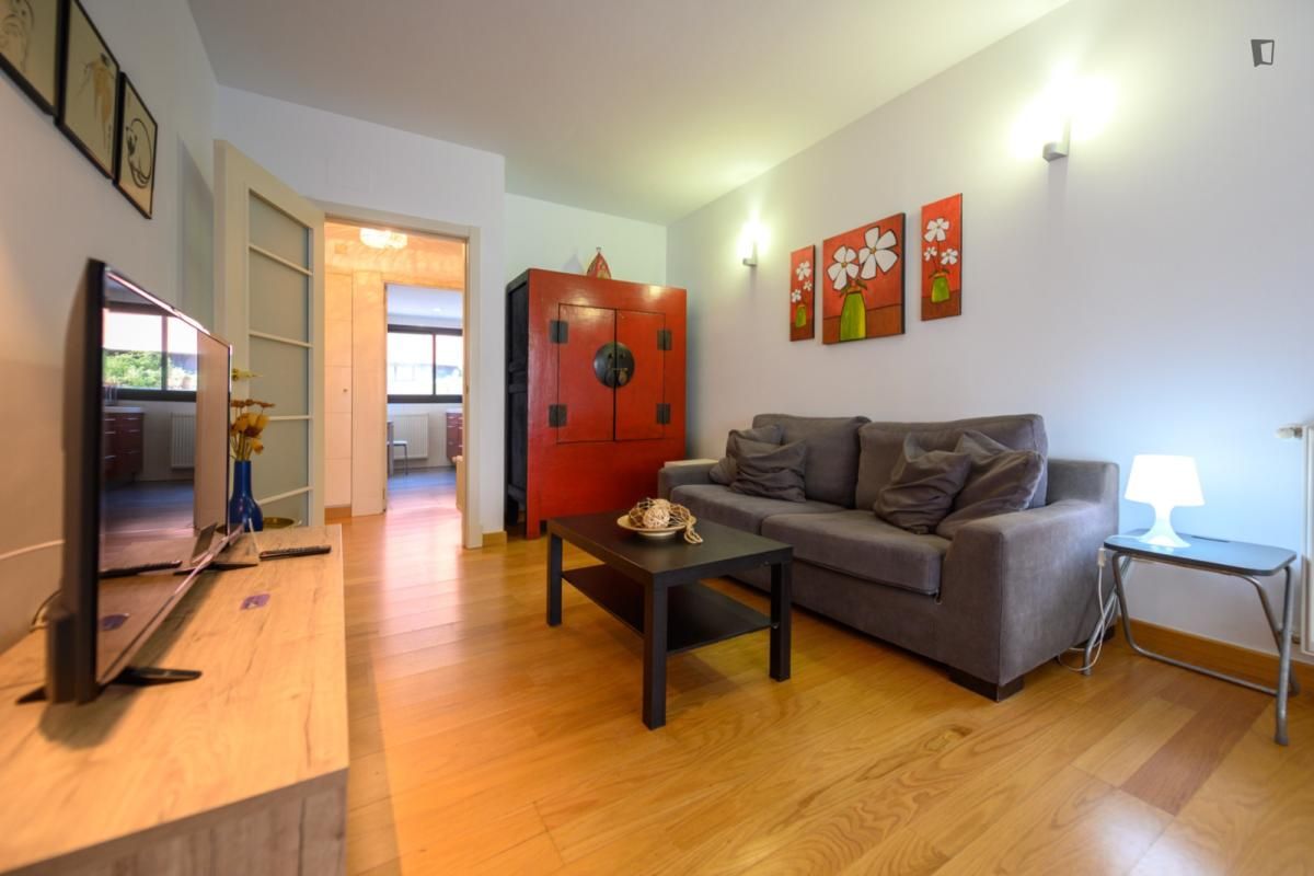 Living room of Apartments for rent in  Madrid Capital  with Heating, Furnished and Oven