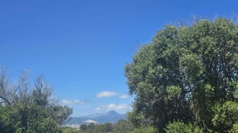 Foto 4 de Finca rústica en venta en Sa Cabaneta, Marratxí
