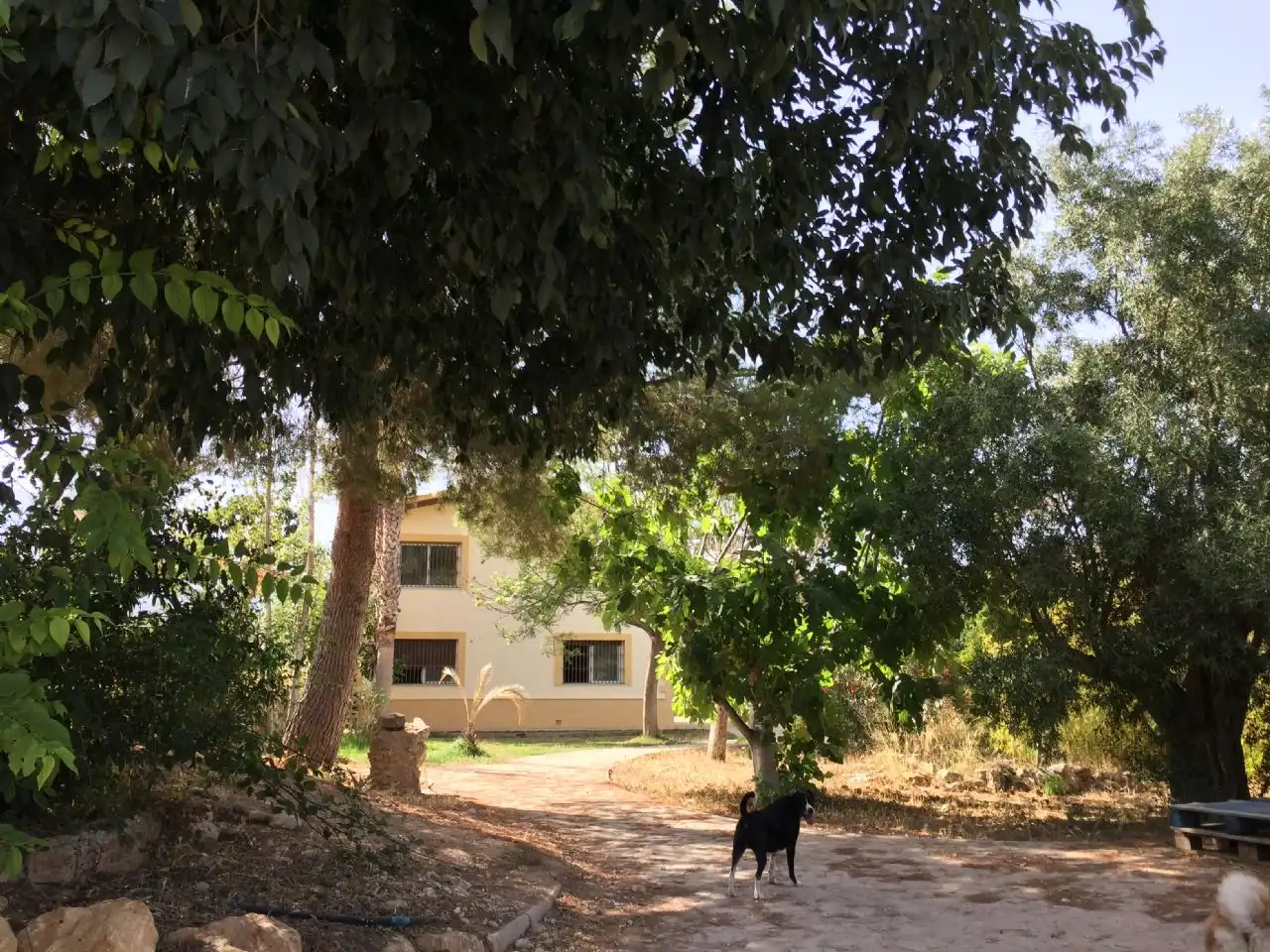 Vista exterior de Casa o chalet en venta en Polop con Aire acondicionado, Jardín privado y Terraza
