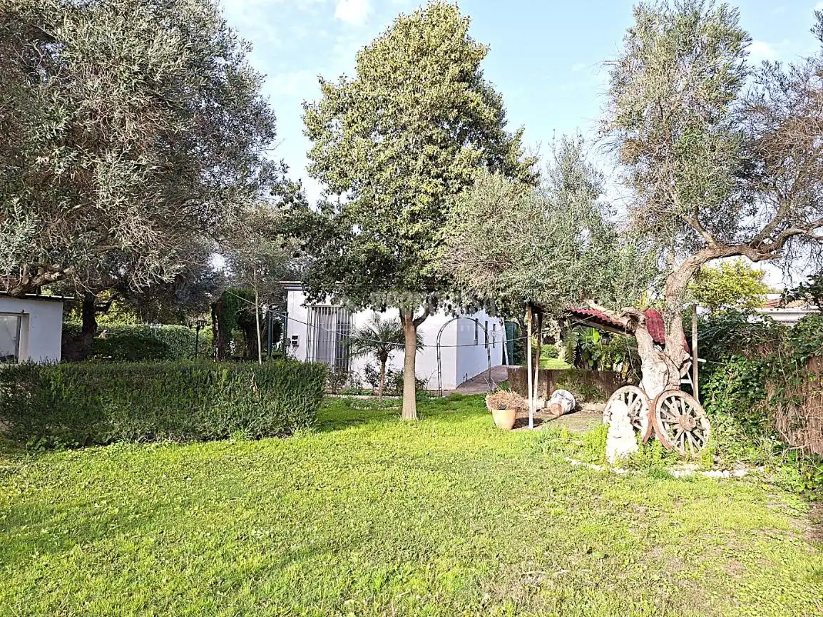 Jardí de Finca rústica en venda en Coria del Río