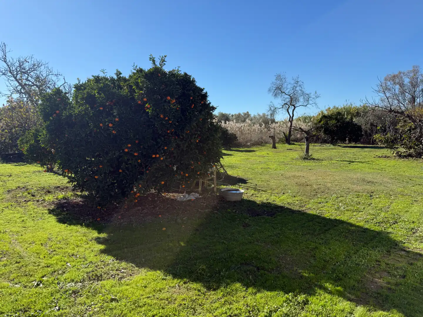 Country homes for sale in Gibraleón  with Air Conditioner, Heating and Private garden