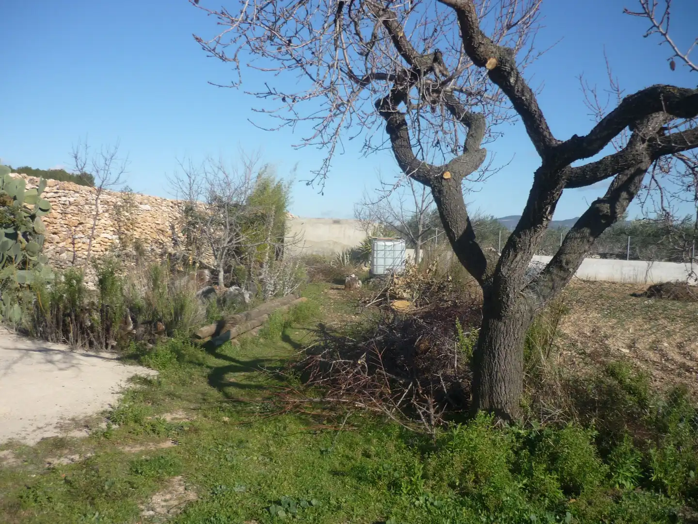 Land for sale in Vila-rodona