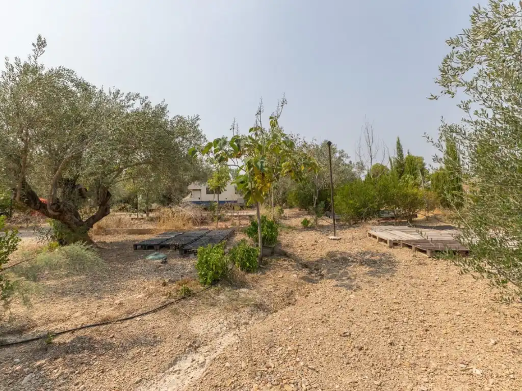 Casa o chalet en venta en Alborache