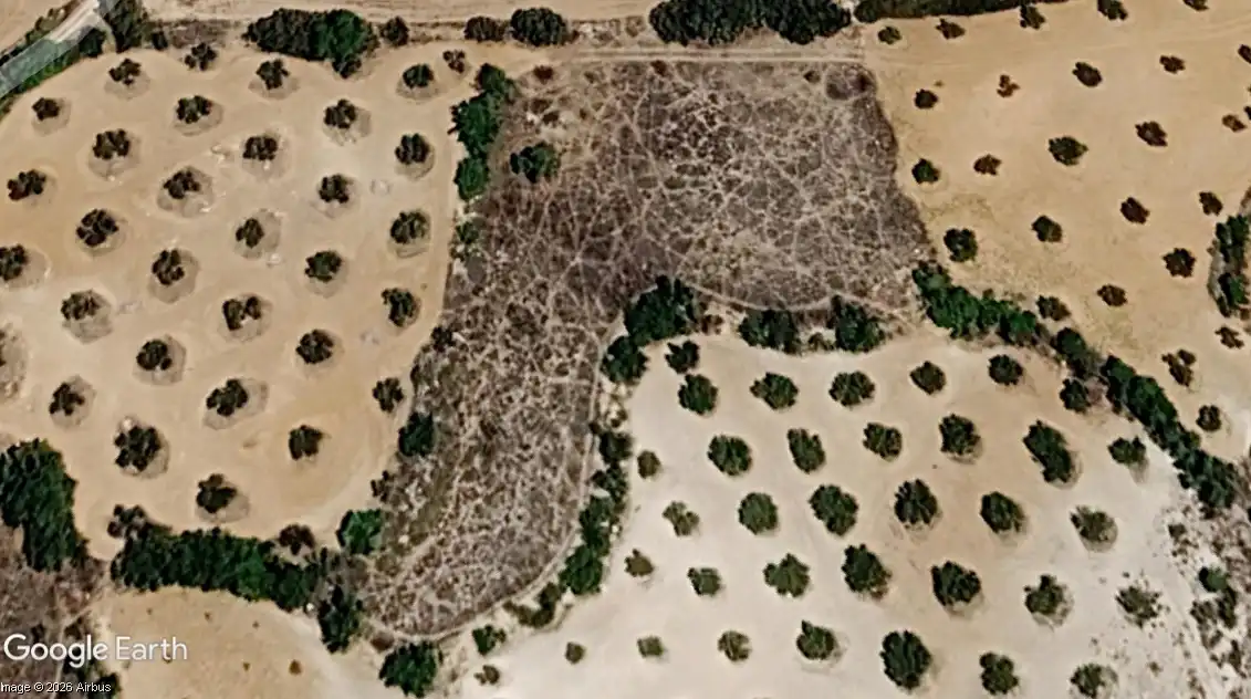 Rural land for sale in Villarejo de Salvanés, imagen 2
