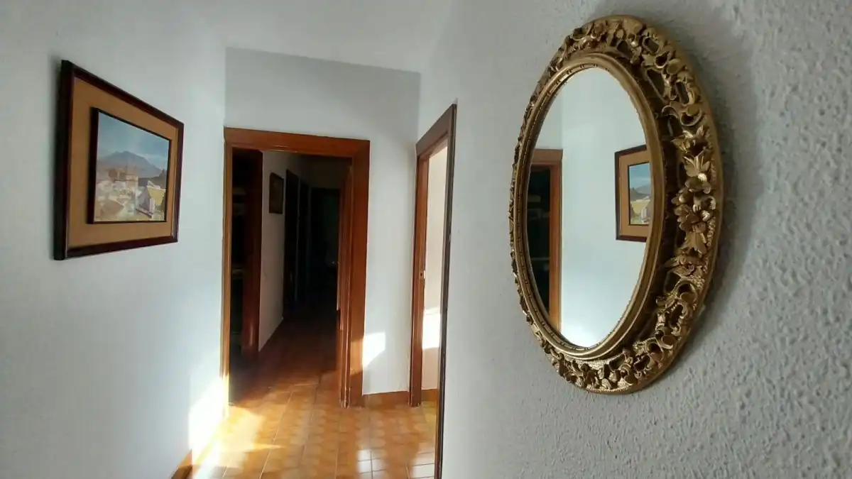 Wohnung mit Terrasse zur Miete in Alfredo Kaus, imagen 12