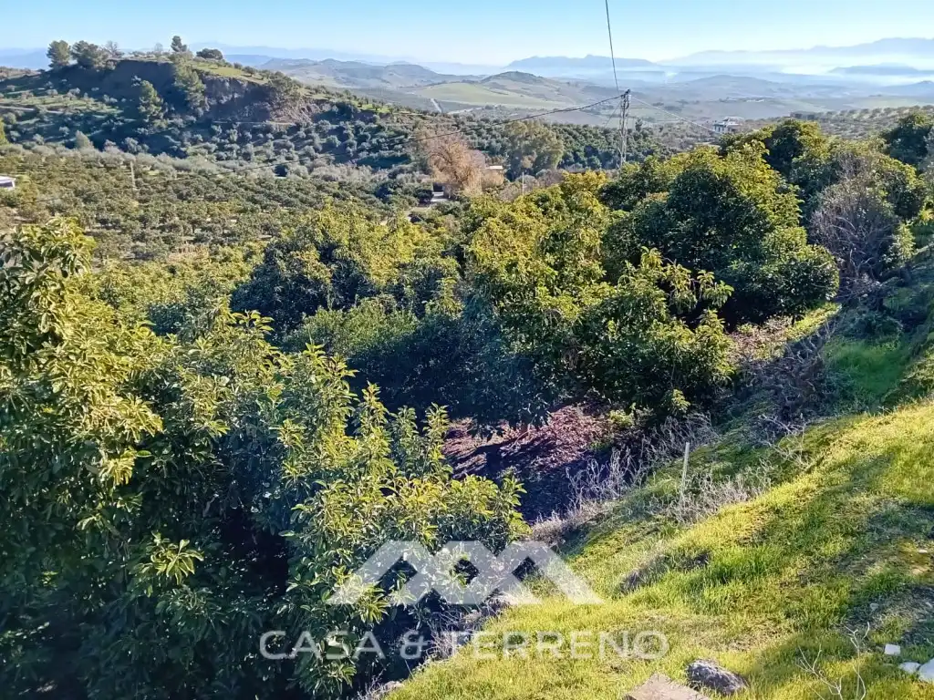 Casa o xalet en venda en Alozaina amb Piscina