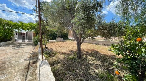 Foto 3 de Finca rústica en venta en La Pinilla - Las Palas, Fuente Álamo de Murcia