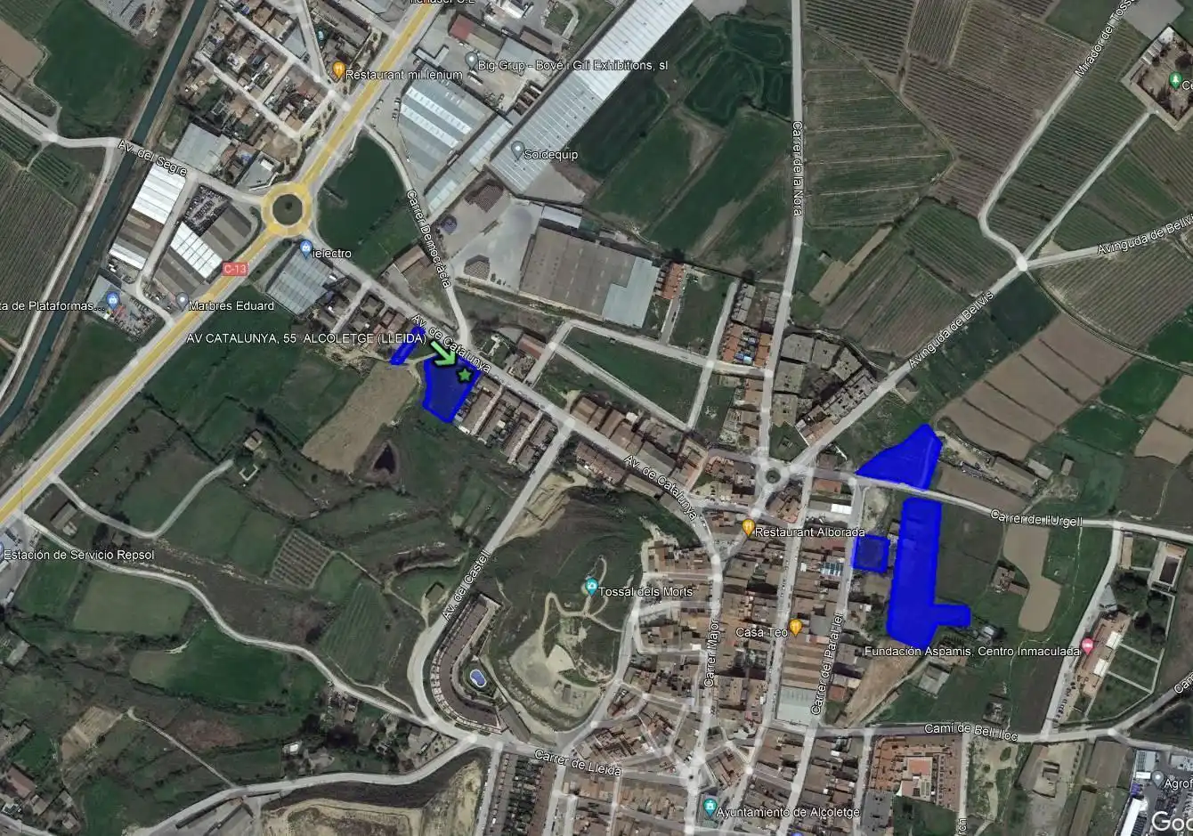 Rural land for sale in Alcoletge, imagen 2