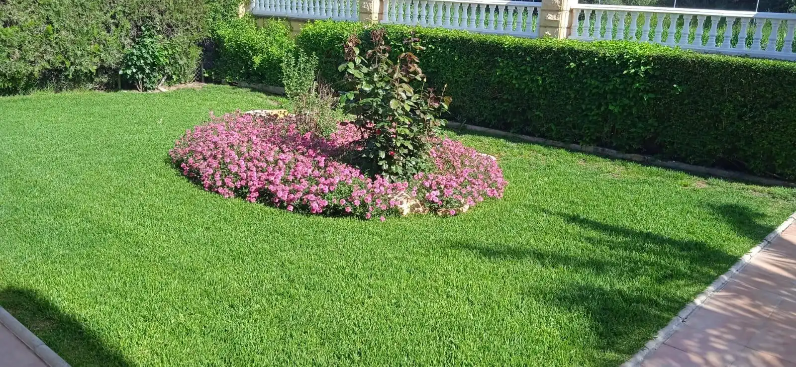 Garden of Houses for sale in Córdoba  with Air Conditioner, Private garden and Terrace