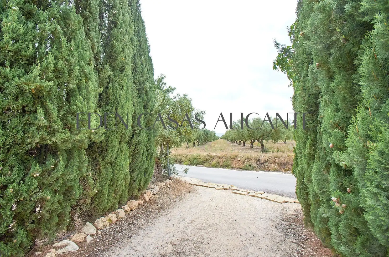 Casa o chalet en venta en Biar con Aire acondicionado, Calefacción y Jardín privado