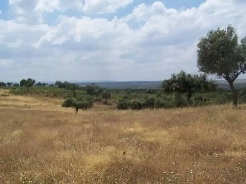 Terreni e lotti in vendita a Alcántara, imagen 24